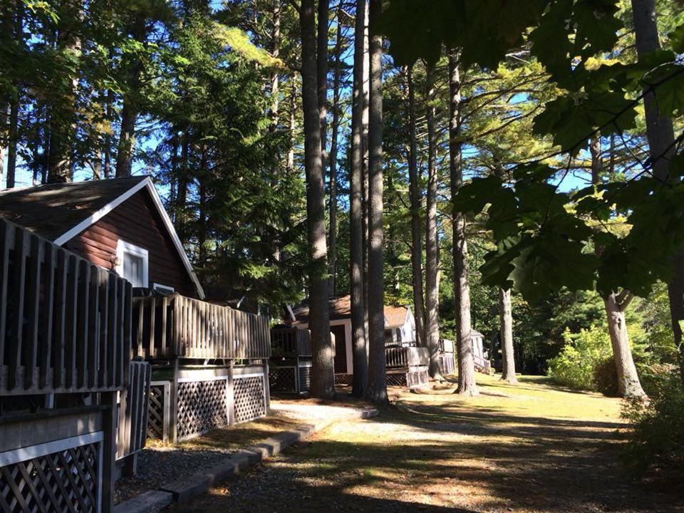 Pine Grove Cottages Lincolnville Εξωτερικό φωτογραφία