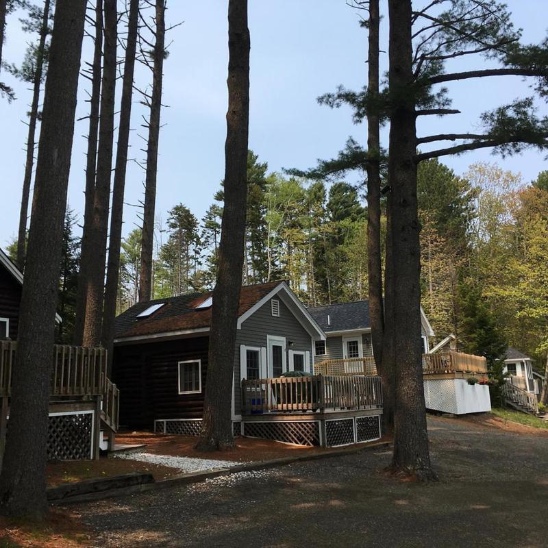 Pine Grove Cottages Lincolnville Εξωτερικό φωτογραφία