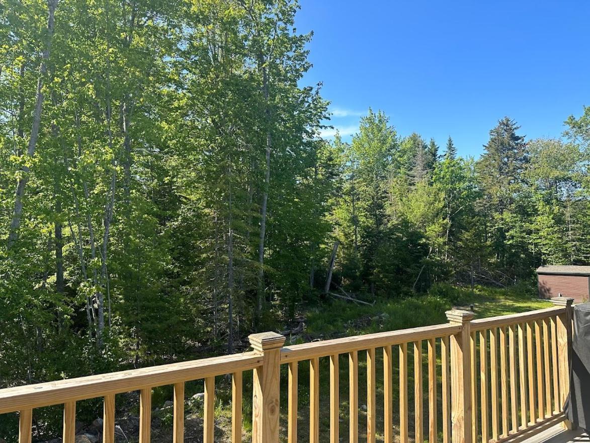 Pine Grove Cottages Lincolnville Εξωτερικό φωτογραφία