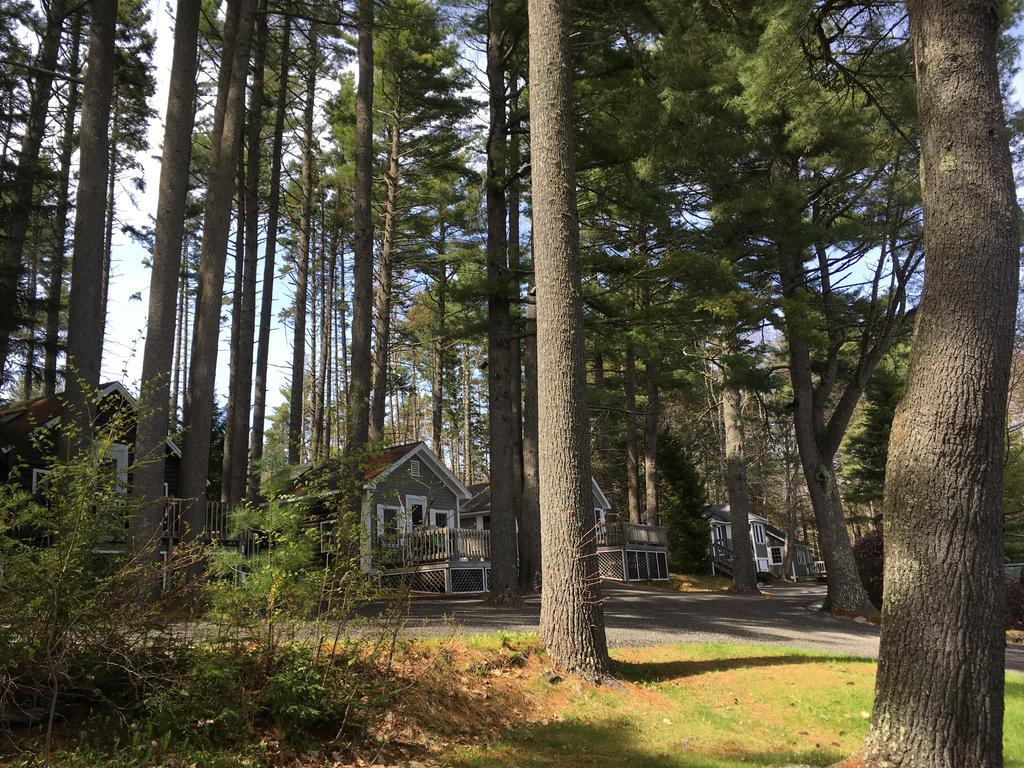 Pine Grove Cottages Lincolnville Εξωτερικό φωτογραφία